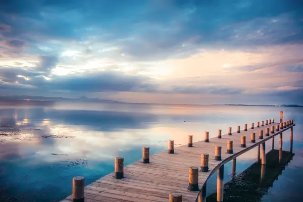 电脑技术学什么赚钱最快